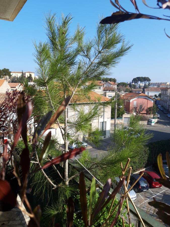 Chambre D'Hote Zen Chez Philippe Marseille Luaran gambar